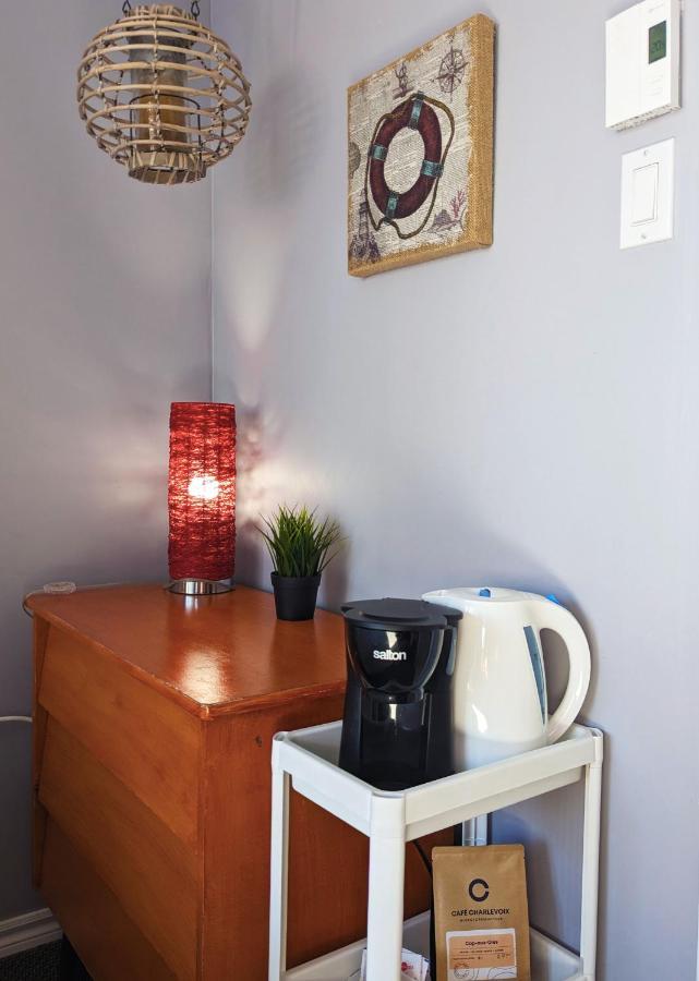 Les Petits Studios Du Bord De L'Eau Saint-Joseph-de-la-Rive Екстериор снимка
